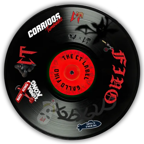 Vinyl record